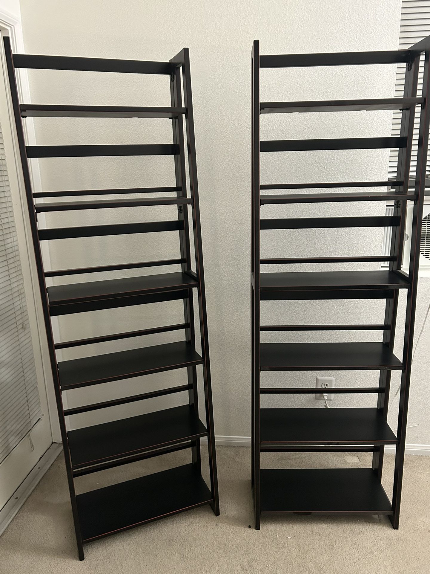 Identical Ladder Shelves 