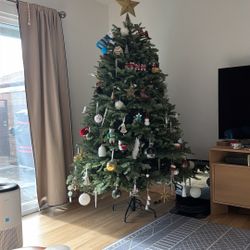 BH Balsam Fir Christmas Tree