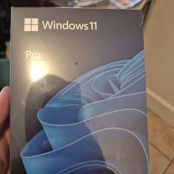 Windows 11 Pro Usb 