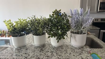 Fake decorative plants
