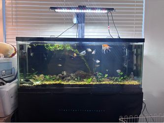 MUST GO! 55 gal and 30 gal sump tanks with stand