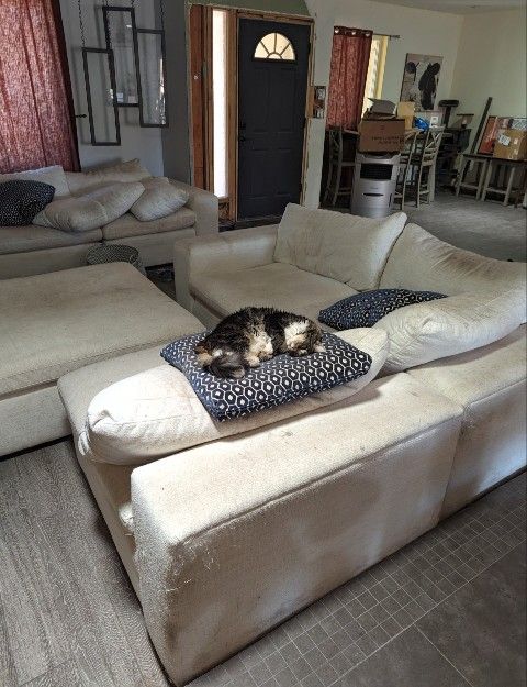 Expensive Couch In Not Great Shape