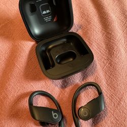 Beats Powerbeats Pro Earbuds 