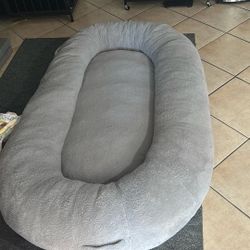 Human Dog Bed