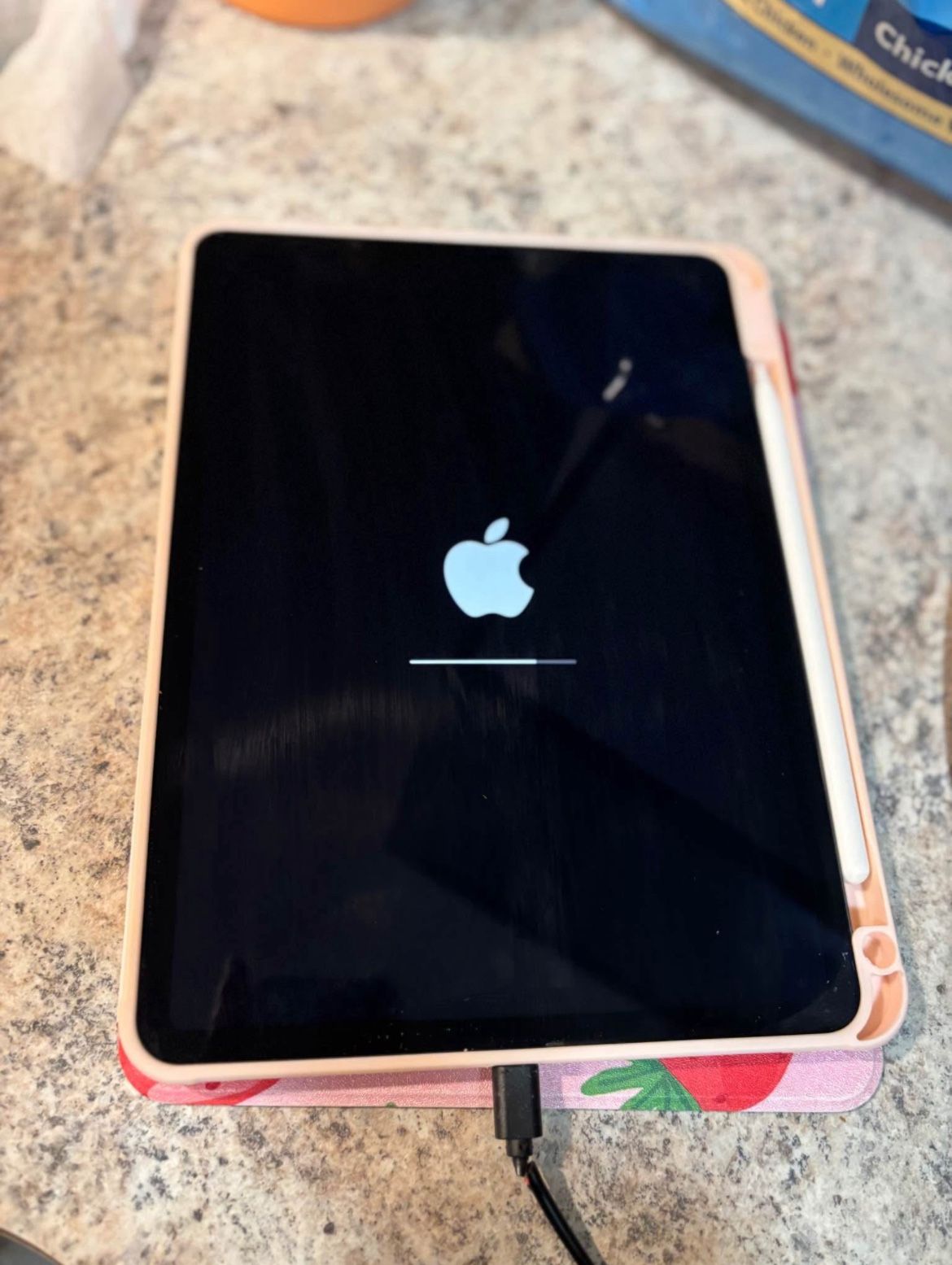 iPad Pro 11inch With Apple Pencil