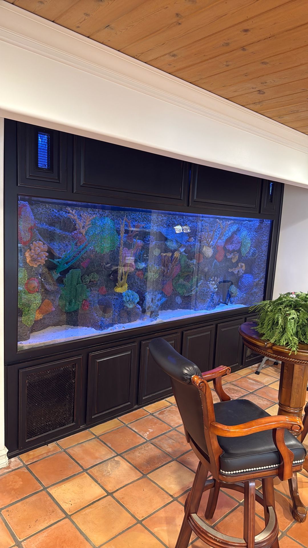 750 Gallon Aquarium