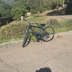 Pacific Quicksilver Road Bike