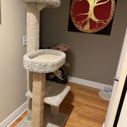 Cat Tree And Cat Cave 