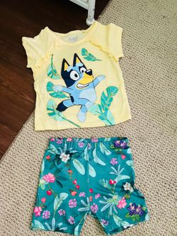 Bluey toddler outfit