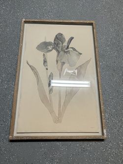 Framed Botanical Art Print with Wooden Frame