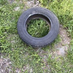 Tire 15   205/65