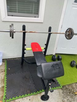 Plates, barbell, and bench.