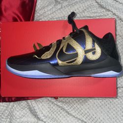 Nike Kobe V PROTRO Year Of The Mamba Size 10 Mens