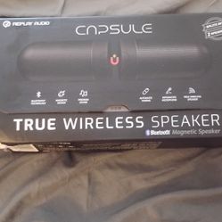 True Wireless Speaker 