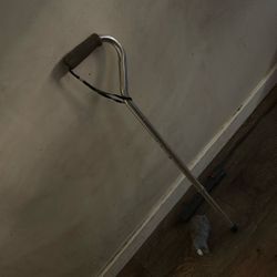 Walking Cane
