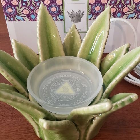 narben mit aloe vera behandeln Aloe vera Narbenpads für schnelle Heilung main image 0