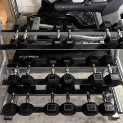 Dumbbell Rack With Dumbbells 