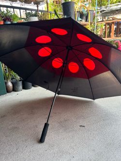 Umbrella