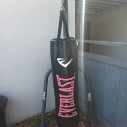 Everlast Punching Bag 100 Pounds With 1pair Of Everlast Gloves 