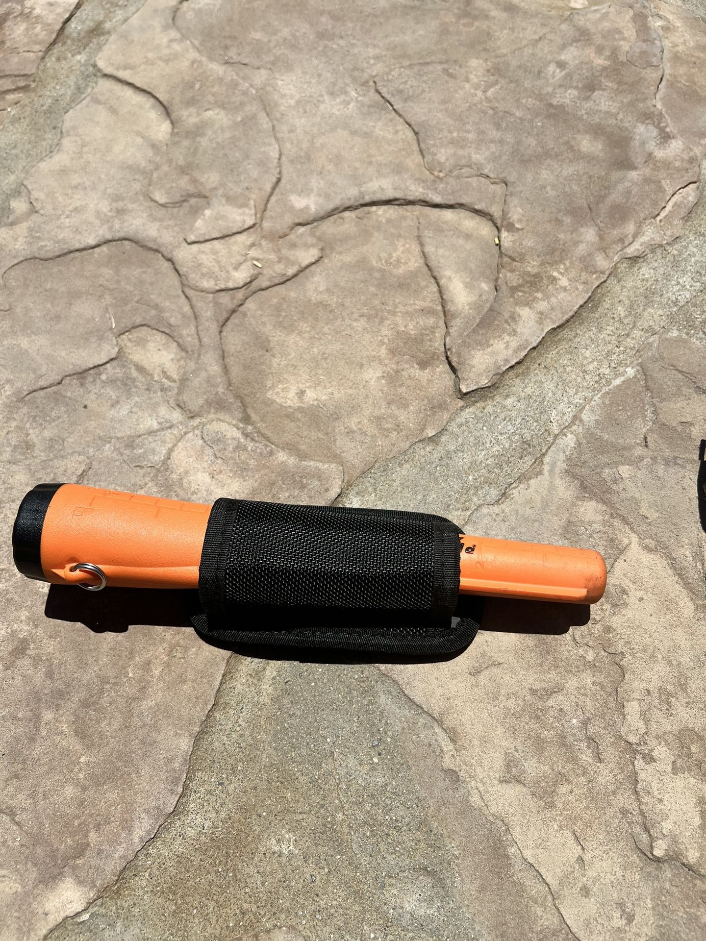 Garrette Pro Pointer At