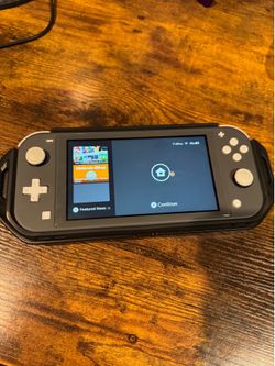 Nintendo switch lite (grey)