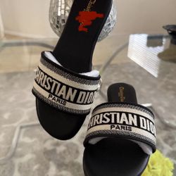 Dior Slides 