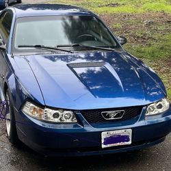 2000 Ford Mustang