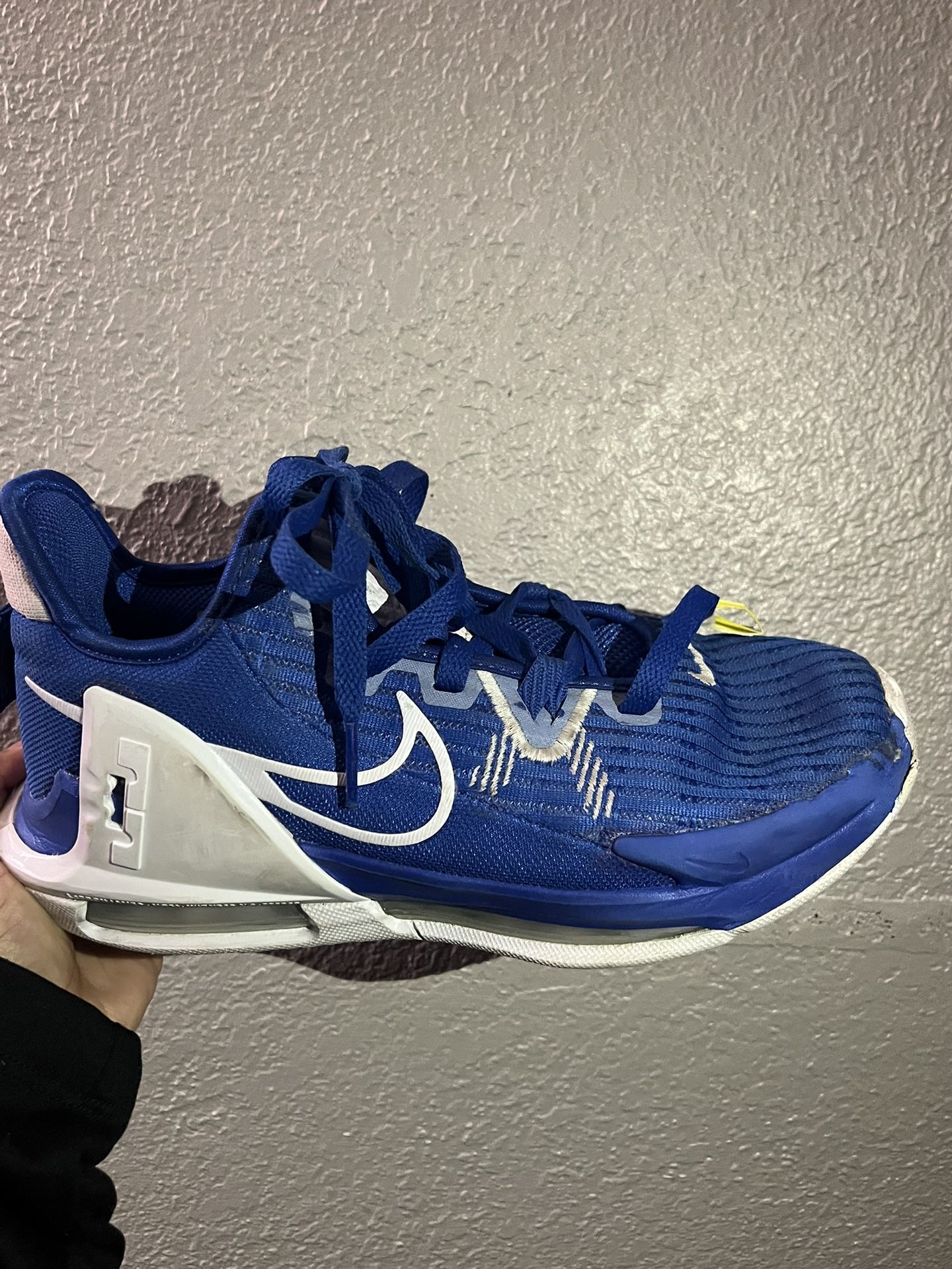 Nike Lebron Witness TB Game Royal Blue Basketball Shoes