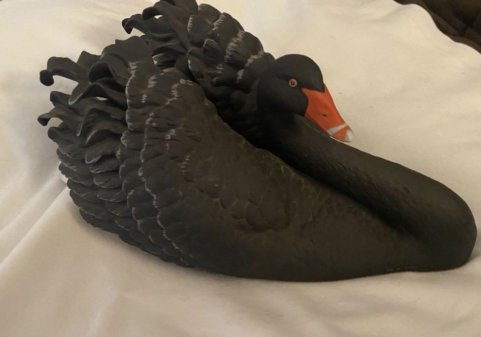 The Black Australian Swan  Fine Bisque Porcelain