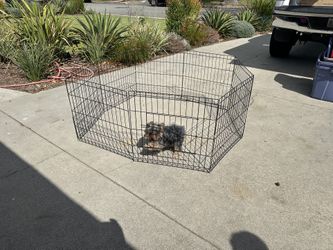Dog Kennel