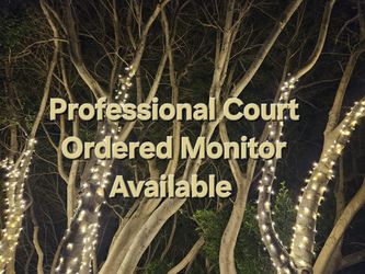 Professional Child Monitor