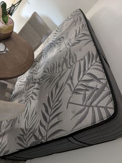 Sealy Posturepedic Plus Queen Mattress  FREE