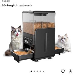 Cat Food