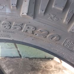 225x65x20 Inch Goo Condition Lots Of Meat LookvAll Pictur