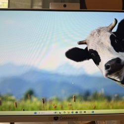 Gateway Desktop 24 Inch Screen Windows 11 Home 