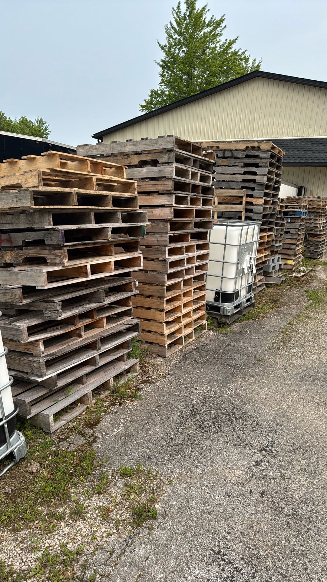 Skids / Pallets