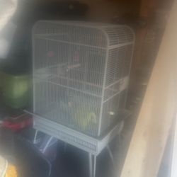 Bird Cage 