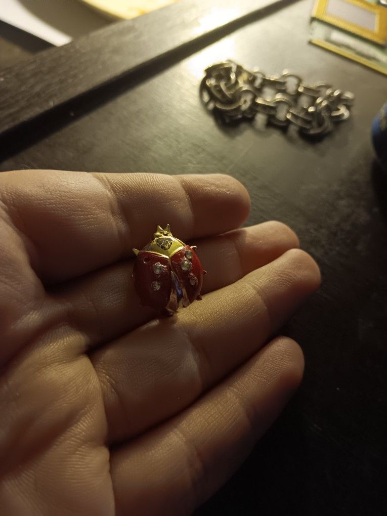 Vintage Ladybug Brooch