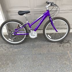 Schwinn Kids Bike