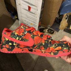 $100 Special. Nike Dunk Wizard Of Oz Men Size 9.5