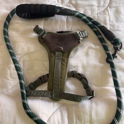 Dog Collars And  Leashes 