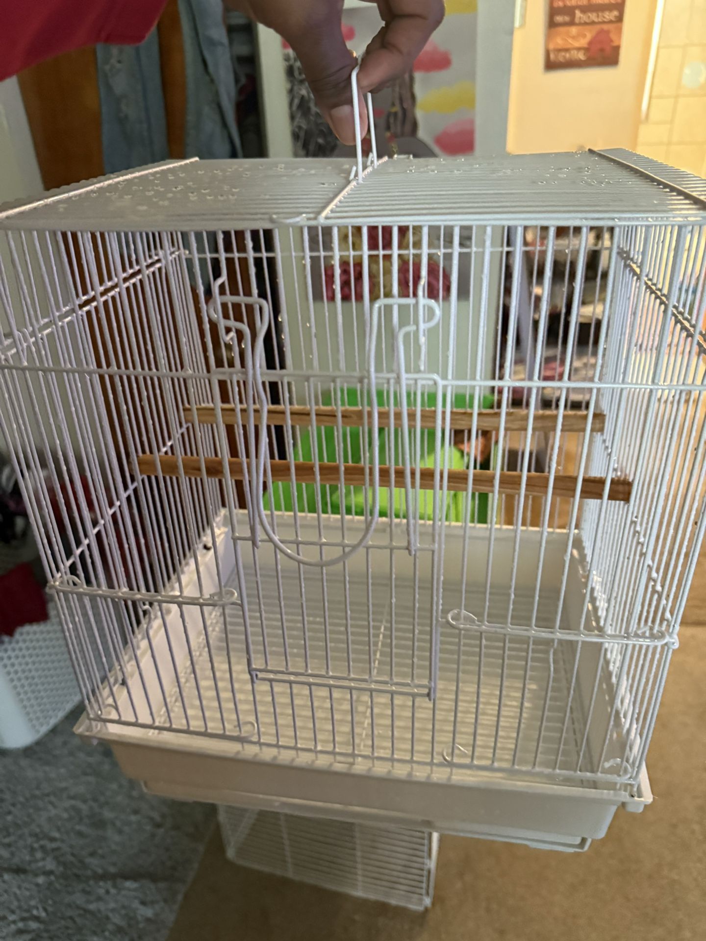 New Buggie Parakeet Cage