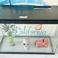 50-gallon aquarium or terrarium Fish Tank Reptile Tank 36 L × 15 W × 20 H 3 6 L × 1 5 W × 2 0 H  inches