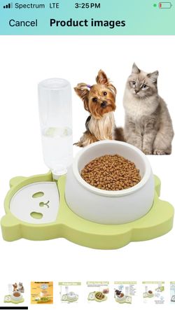Small Dog Or Cat Feeding Bowl & Water Dispenser 