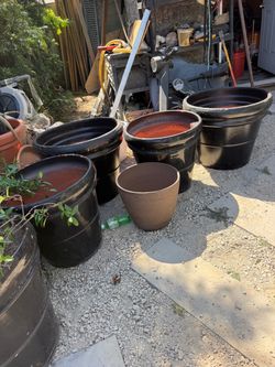 Planter pots