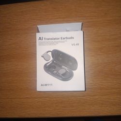 AI Translator Earbuds