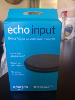 echo input