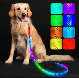 Xeuch Dog leash retail $36