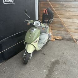 Buddy Scooter 