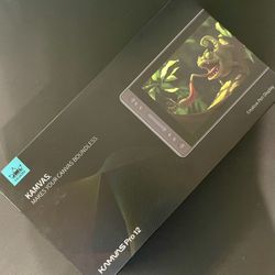 Drawing Tablet - Huion Kamvas Pro 12